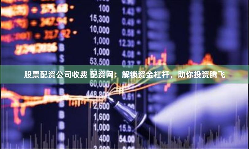 股票配资公司收费 配资网：解锁资金杠杆，助你投资腾飞