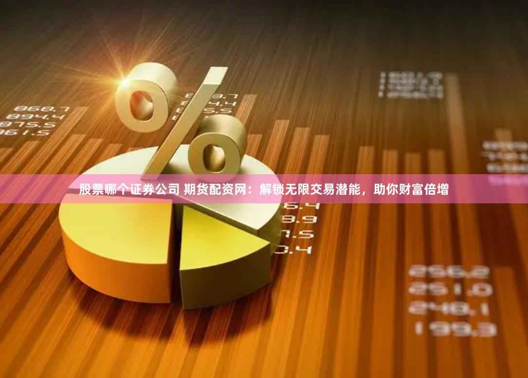 股票哪个证券公司 期货配资网：解锁无限交易潜能，助你财富倍增