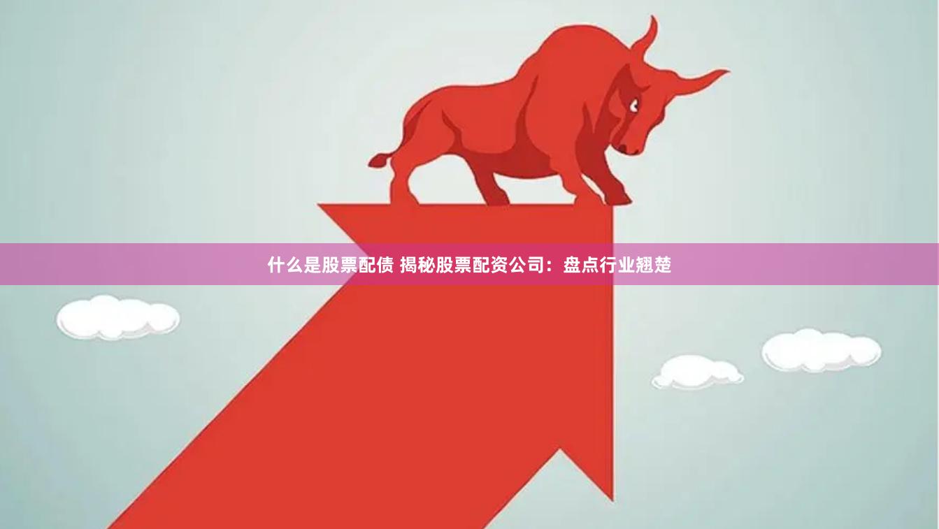 什么是股票配债 揭秘股票配资公司：盘点行业翘楚